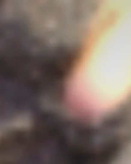 Liv, 22 Jahre — bbw sextreffen in Bernburg