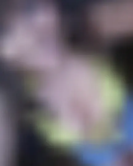 Nora, 22 Jahre — bbw sextreffen in Homburg