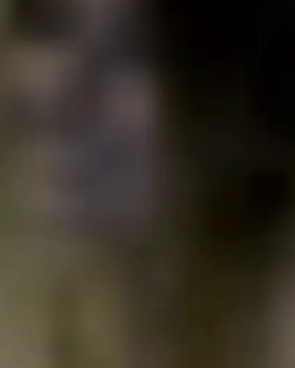 Thea, 24 Jahre — bbw sextreffen in Marienfelde