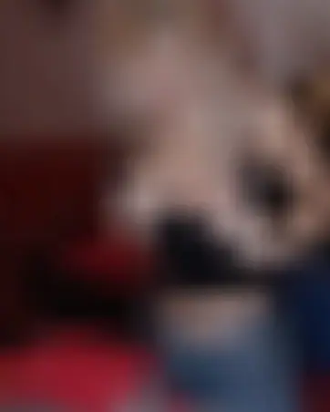Lola, 22 Jahre — bbw sextreffen in Barmbek-Süd
