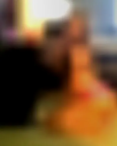 Ingrid, 35 Jahre — bbw sextreffen in Heidelberg